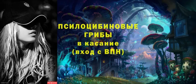 Галлюциногенные грибы MAGIC MUSHROOMS  Белокуриха 